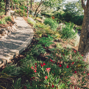 Woodland Garden Path w/ Perennial Border