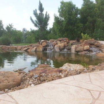 Ecosystem Ponds, Water Garden Ideas for Your Austin, Central Texas Landscape