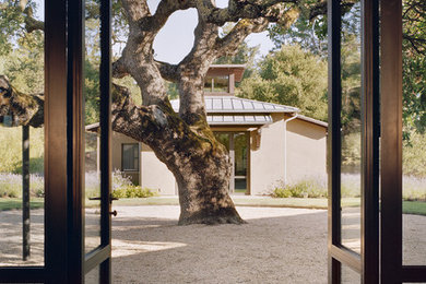Design ideas for a modern landscaping in San Francisco.