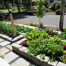 gardening