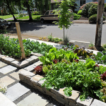 Edible Garden
