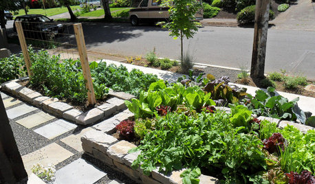 Front Yard Vegetable Garden - path material?