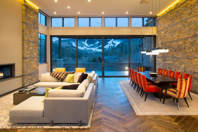 Living room - contemporary living room idea in Denver