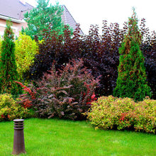 Yards