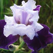 Cathy Owens's photo