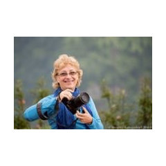 Doris Charest Studio