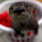 Nicole Logan's photo