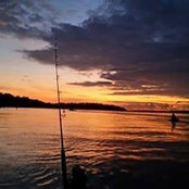 Candice Ray's photo