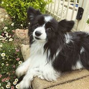 Sharon Breust's photo