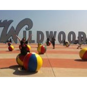 Renee Verdecchio's photo