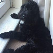 Julia Martin's photo