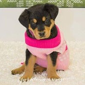 Melissa Johnson Rath's photo
