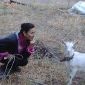 Yasemin Vanlıs foto