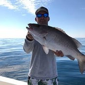 Ben Custis's photo