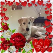 Phyllis Giordano's photo
