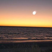 Laurie Winter's photo
