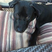 Janice Flaugh's photo