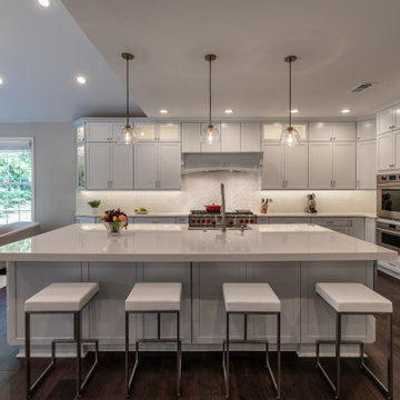 Stunning and Modern Whole House Remodel in Ashburn VA