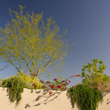 FireRock Residence, Fountain Hills, Arizona