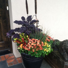 Planters Fall