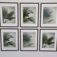 kpaschkow's ideas