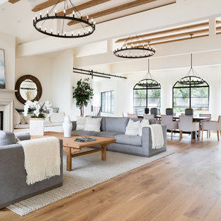 75 Most Popular Light Wood Floor Living Room Design Ideas for 2019