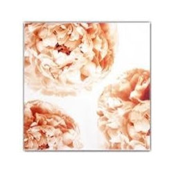 Floral Art Dinner Napkin- Peony Sepia - Napkins