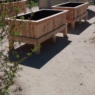 Design ideas for a large modern backyard full sun formal garden for spring in San Diego with a container garden and gravel.