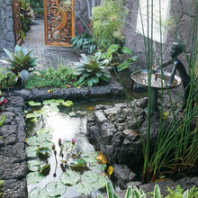 Water Feature