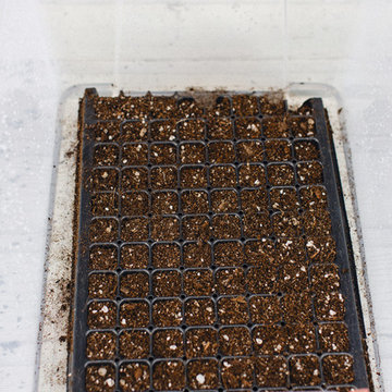 Cut Flower Garden book