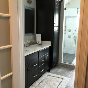 Contemporary Bath Remodel in Hamburg
