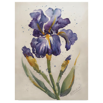 Wendra 'Blue Painted Iris' Canvas Art, 14"x19"