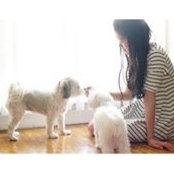 Wendy Yuan's photo
