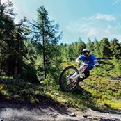 Tom Sherrin's photo