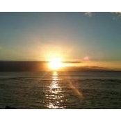 Amie Ridling's photo