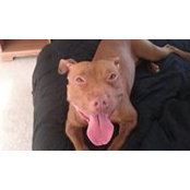 DebLuvs MommyPittie's photo