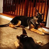 Jeff Faust's photo