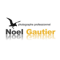 Noel gautier photographie