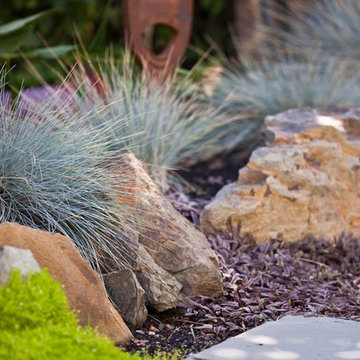 5 Senses In The Garden