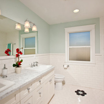 Birch White Shaker Marble Countertop