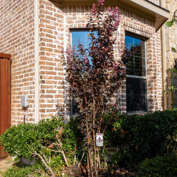 Flowering Trees & Shrubs