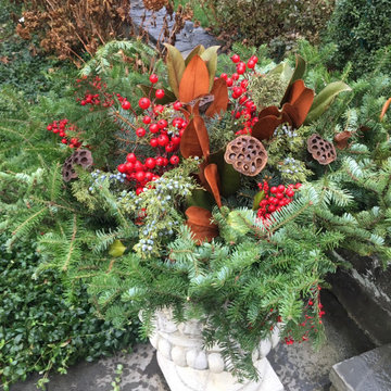 Potted Gardens