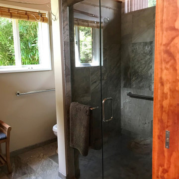 Ann Arbor Master Bath Addition: Water Hill
