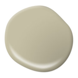 Washed Olive S350-3 - Paint