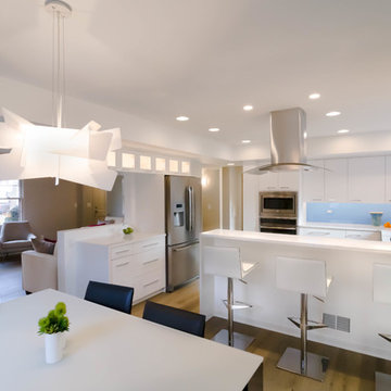 E. Stadium Blvd. Contemporary Whole House Renovation