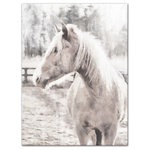 DDCG - White Painterly Horse 30x40 Canvas Wall Art - With a touch of rustic, a dash of industrial, and a pinch of modern elegance, this wall art helps you create a warm and welcoming space in your home. Digitally printed on demand with custom-developed inks, this  design displays vibrant colors proven not to fade over extended periods of time. The result is a beautiful piece of artwork worthy of showcasing in your home.