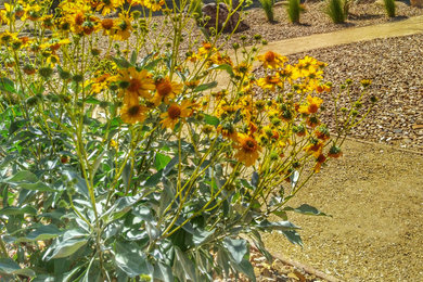 This is an example of a large eclectic drought-tolerant and full sun backyard pond in Las Vegas.