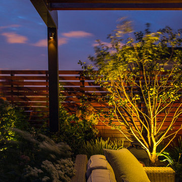 West Loop Roof Garden