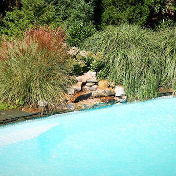 Water Feature Inspirations