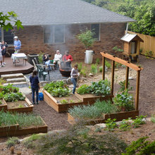 vegetable garden
